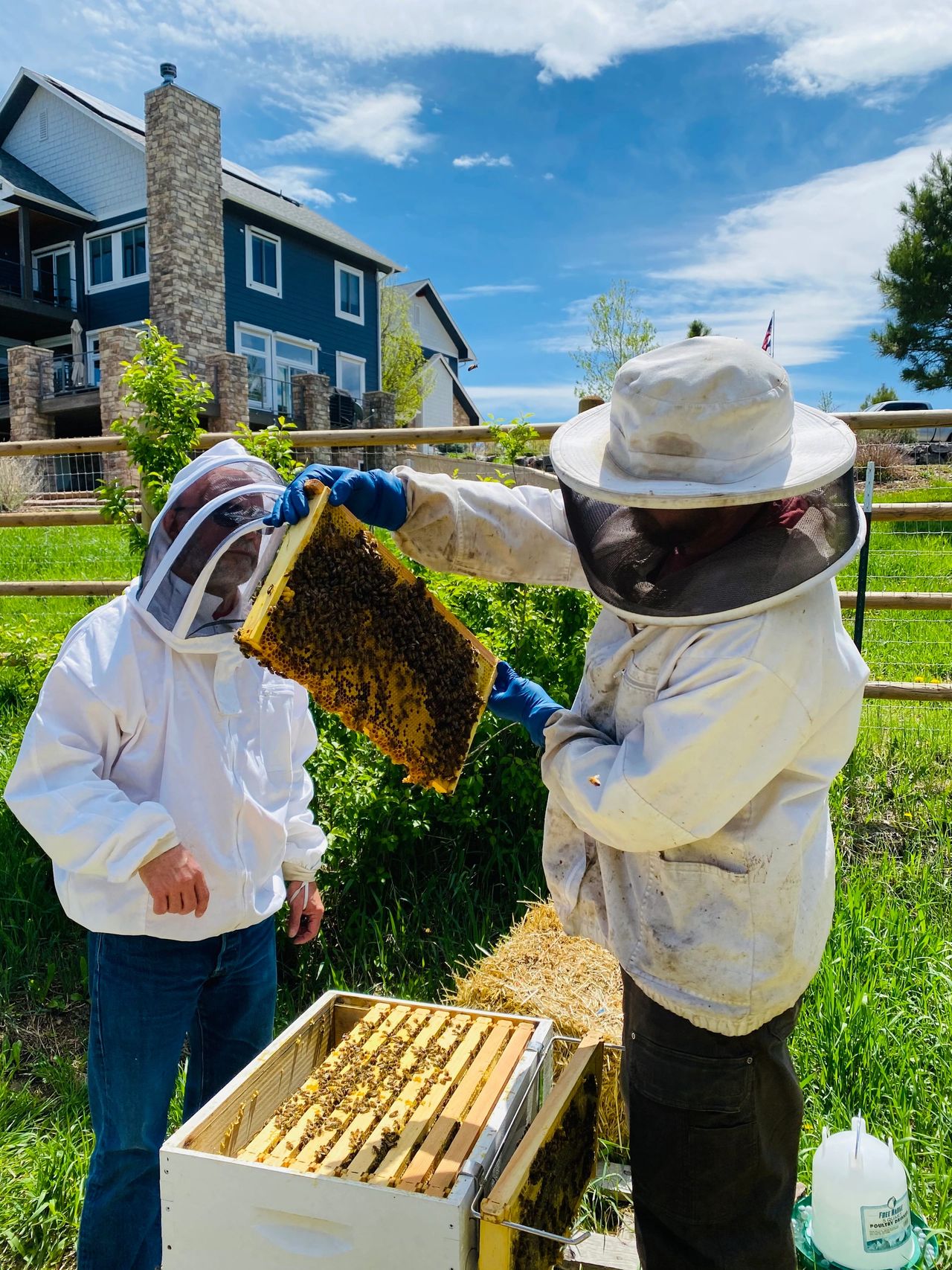 World Bee Day 21