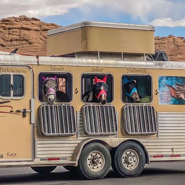 yellow horse trailer with 3 horses looking out their windows.