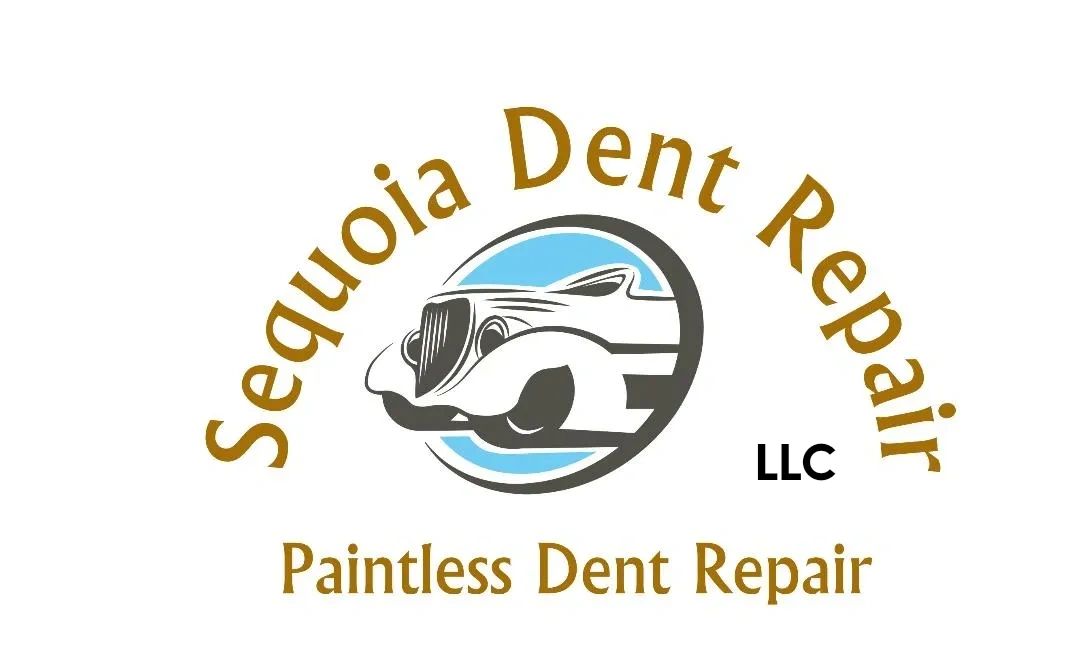 Expert Paintless Dent Removal Near Me Services