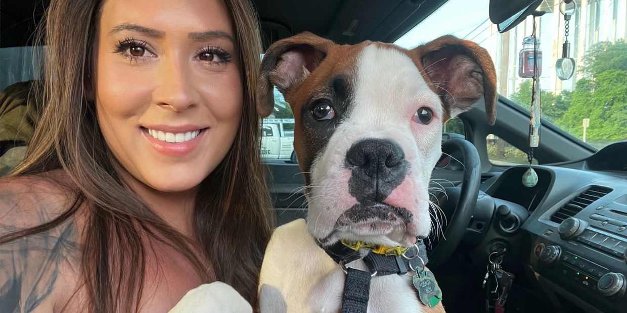 A girl with a boxer puppy