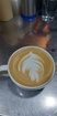 The Coffee Tree