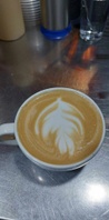 The Coffee Tree