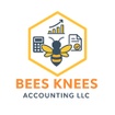 Bees Knees Accounting LLC