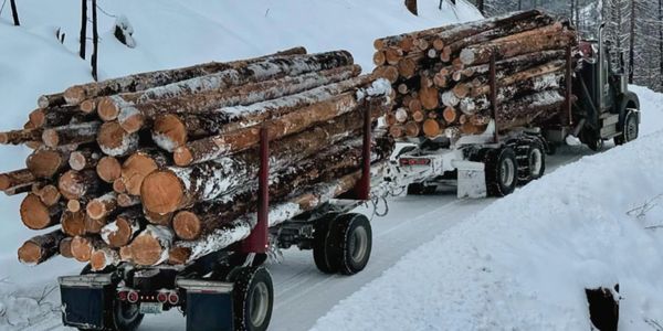 self loading mule train log truck with firewood load
