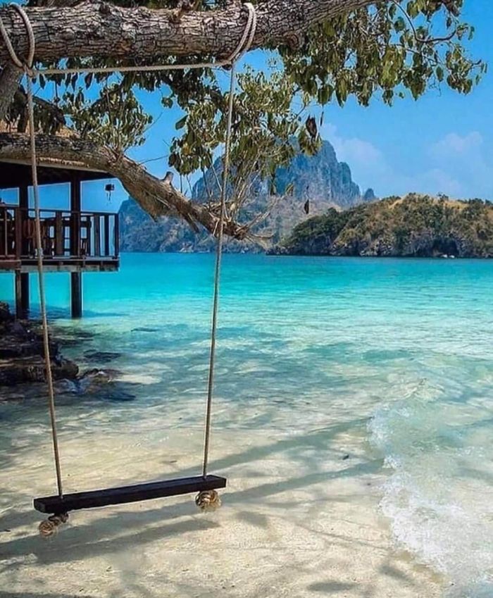 A wooden swing hanging from a tree by the clear turquoise sea.