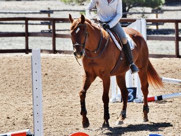 A rider on a brown horse in an outdoor equestrian arena.