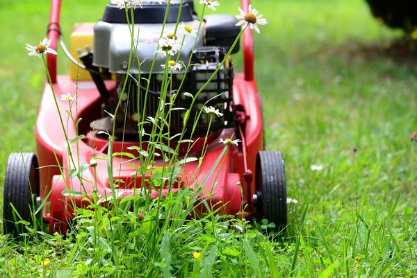 Winterdienst, Grünschnitt, Gartenarbeit