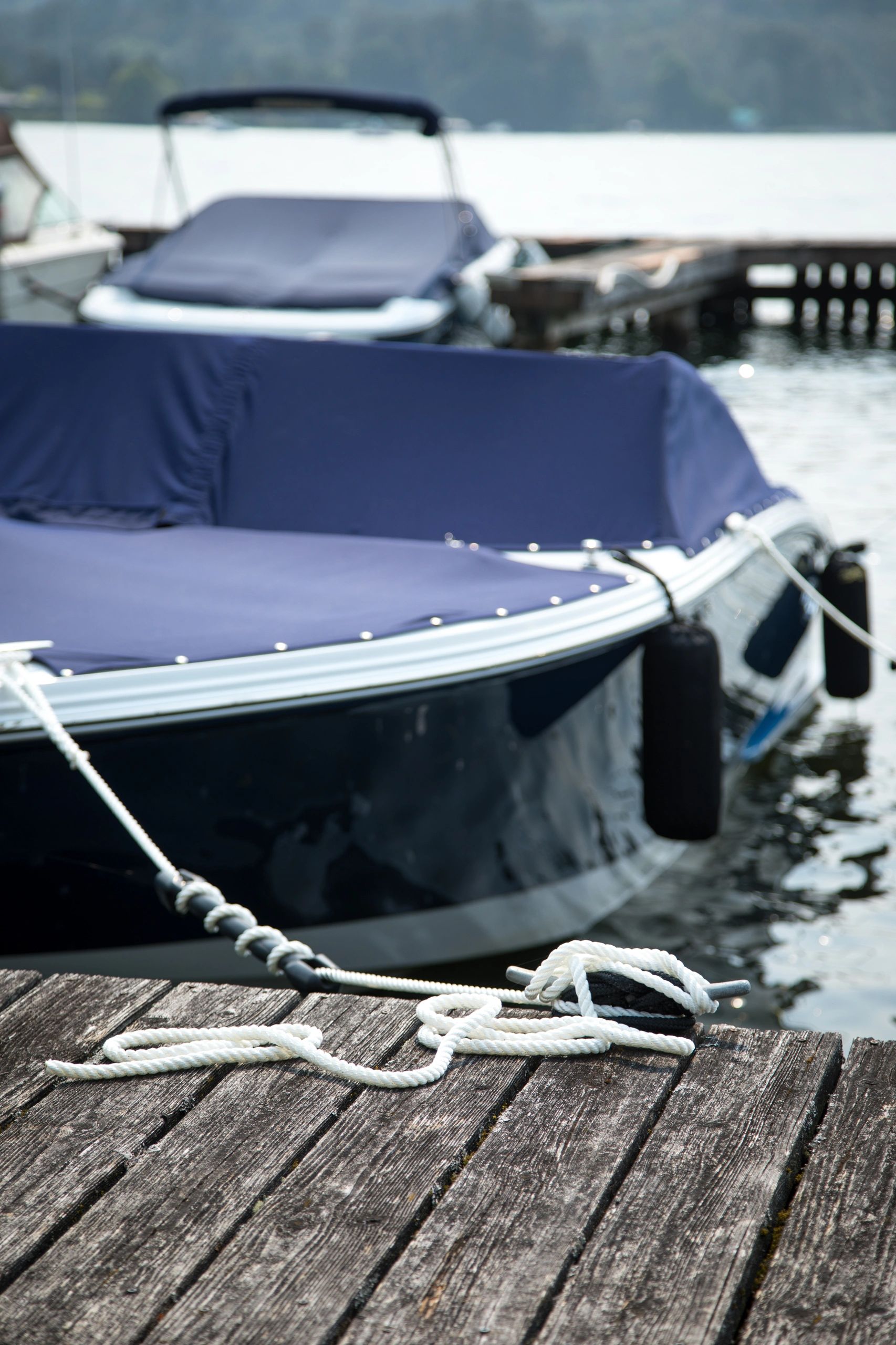 Boat Dog Canvas Co. Boat Canvas Replacement, Custom Boat Covers, Boat