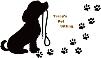 Tracy's Pet Sitting