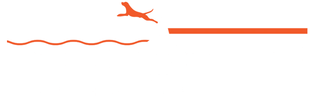 Northequest Canine Sports