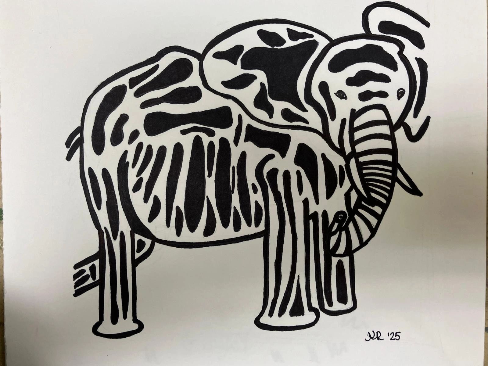 Elephant Drawing