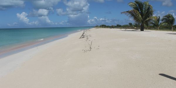 Barbuda