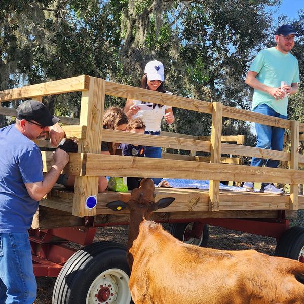Enjoy a real hayride, entering inside our cow pasture to feed and pet our cows.