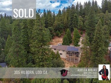 a house in between forest