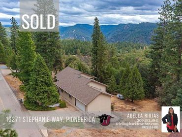 top angle view of a forest