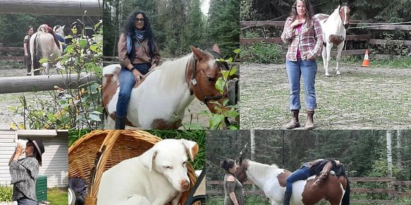 People enjoying time with horses and a dog outdoors.