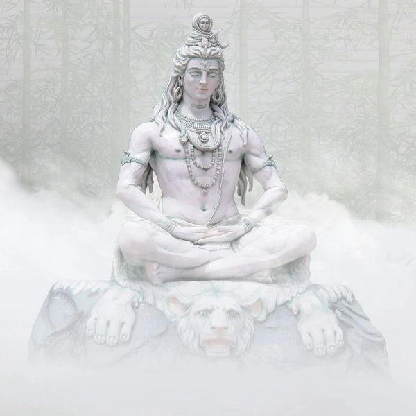 virtual spiritual life coaching with Sona Om Holistic Coach Dallas TX, self-care, healing coaching 
