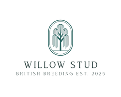 Willow Stud