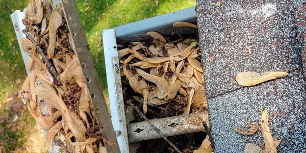 Gutter guards do not always work !
