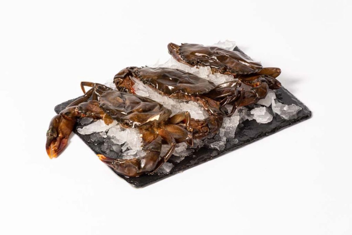 Frozen Soft Shell Crab 1kg