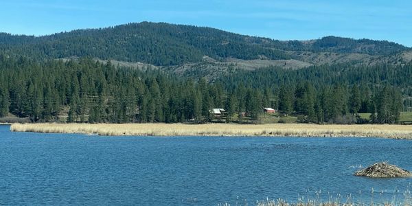 Serene lake with forested hills and clear blue sky.