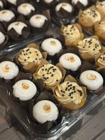 S'mores & salted caramel cupcakes with rich flavors—perfect for parties, gifts, or sweet cravings!