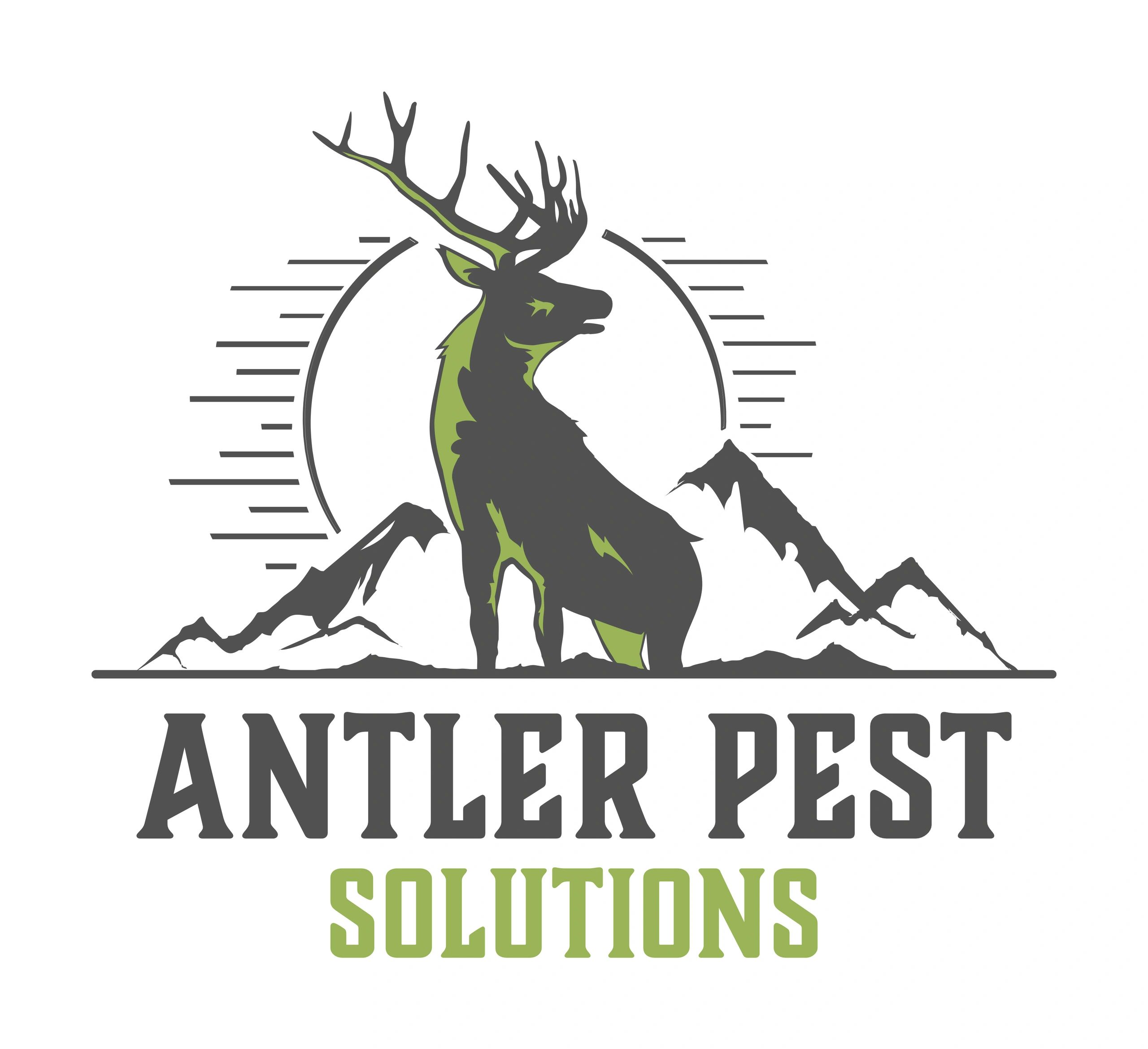 Pest Control