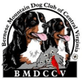 Bernese Mountain Dog Club of Central Virginia