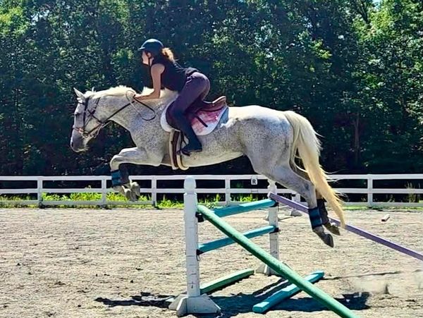 Equestrian jumping over an obstacle.