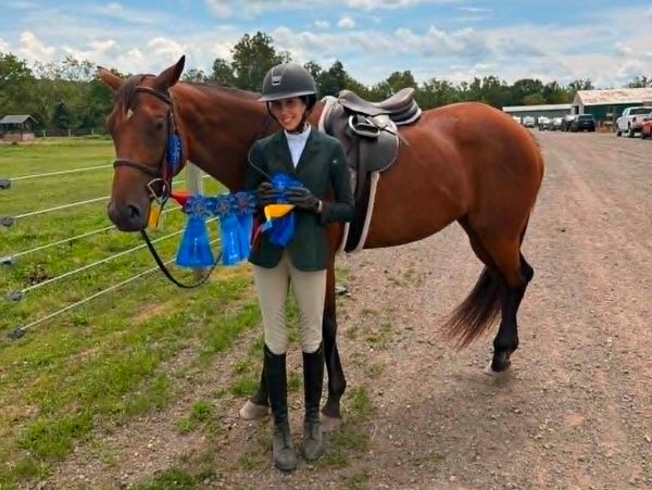 Rider with horse and blue ribbons outdoors.
