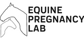 equine pregnancy lab