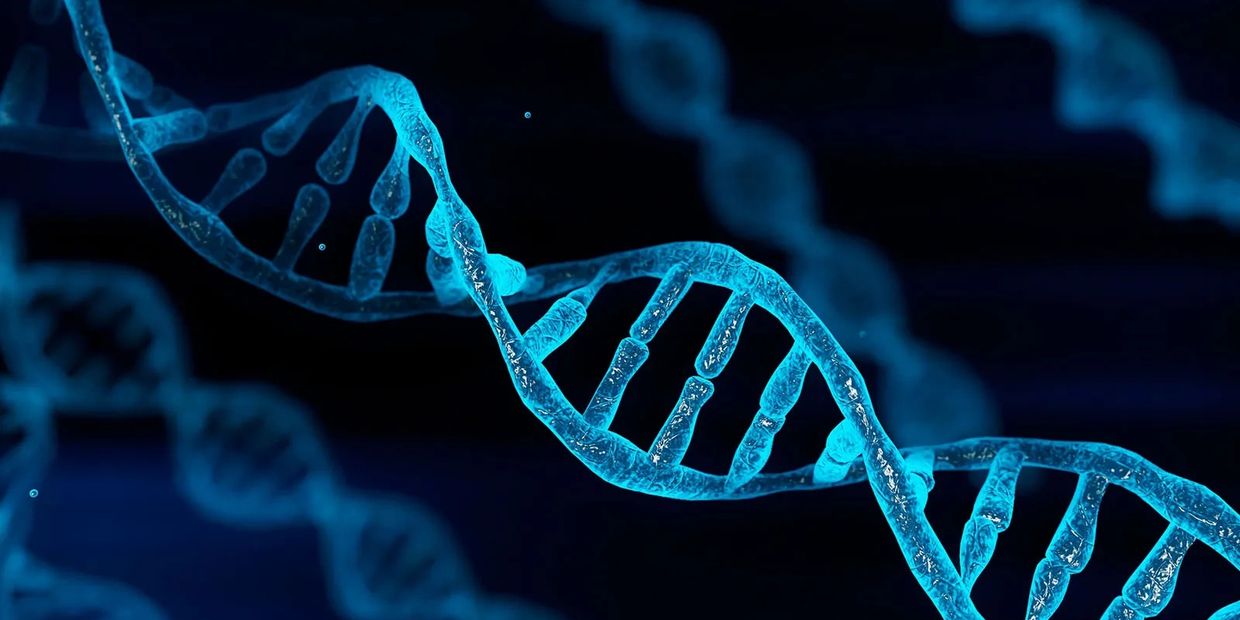 DNA/Paternity