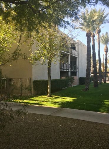 Apartment building with trees and palm trees.