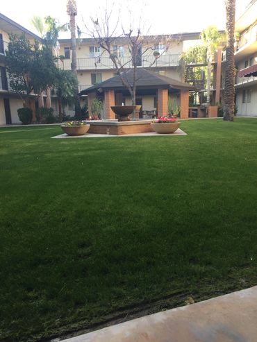 Green courtyard with fountain and flower pots.