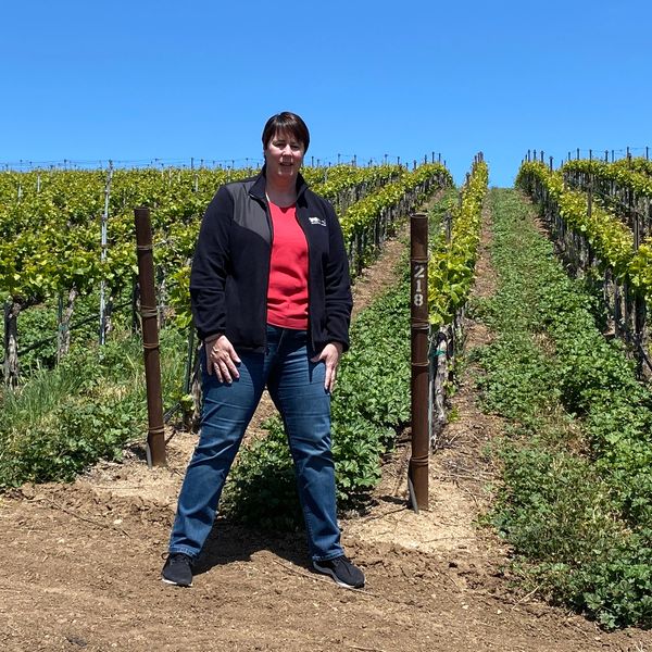 Woman standing in vineyard under clear sky.