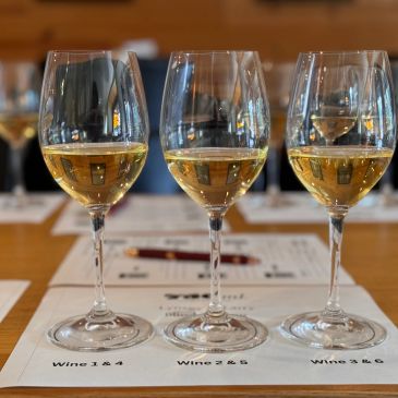 Three glasses of white wine on a tasting mat.