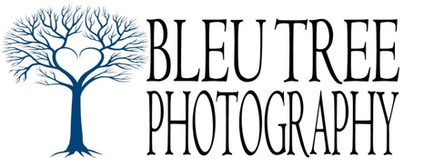 Bleu Tree Photography