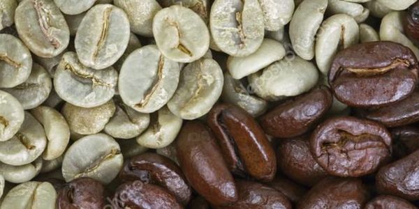 Green and roasted coffee beans side by side.