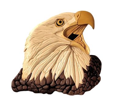 Bald Eagle showing head and shoulders. Eagle's mouth is open, as if screaming.