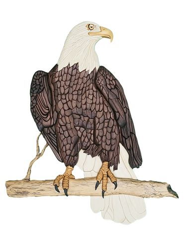 Bald Eagle perched on branch.  Slightly 3D, made from various varieties of wood, no paint or stain.