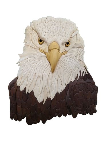 Bald Eagle head and shoulders. Slightly 3-D, made from various varieties of wood, no paint or stain.