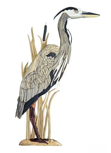Blue Heron, Slightly 3-D, made from various varieties of wood, no paint or stain.
