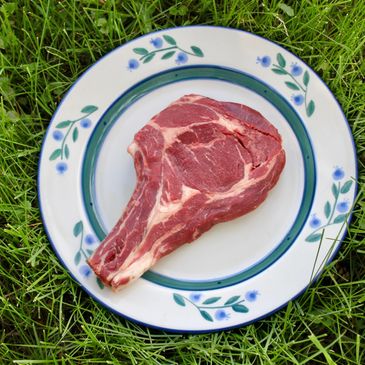 Reserve your Beef Share Today!