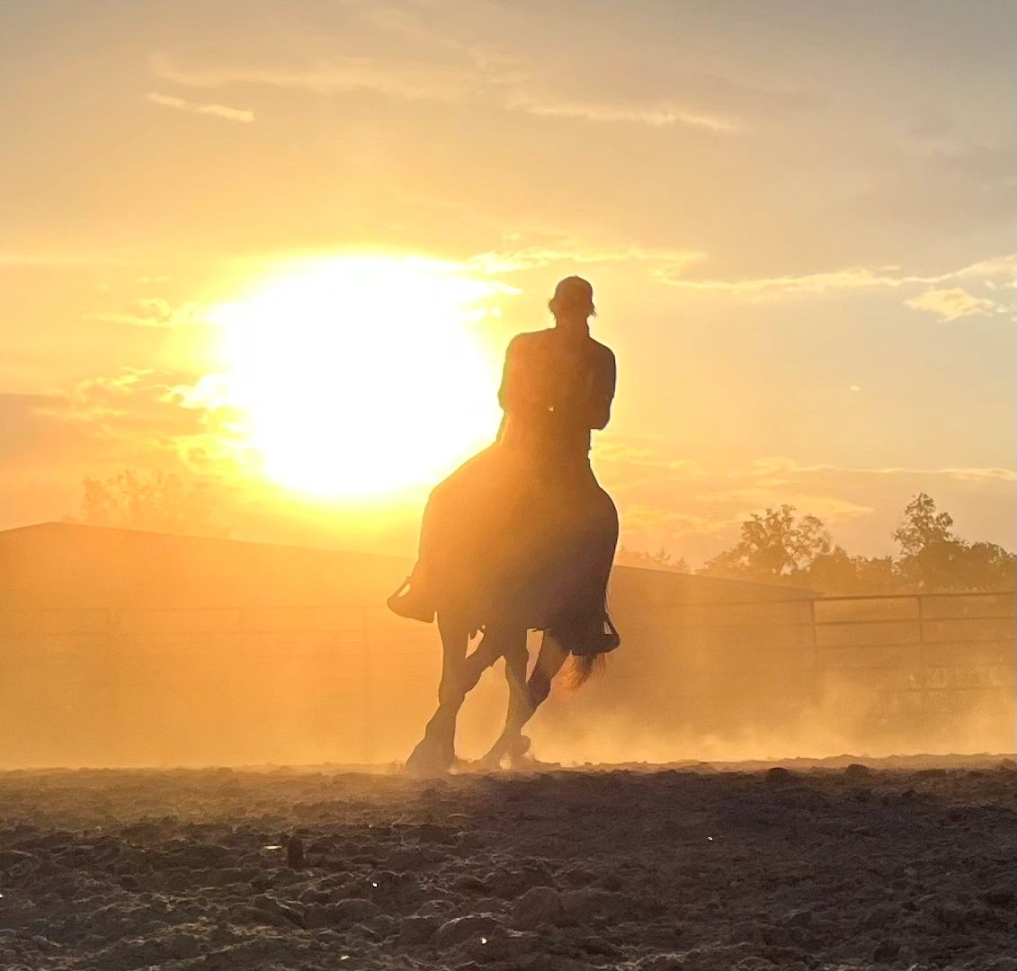 Sweet S Ranch Boarding, Training and Lessons