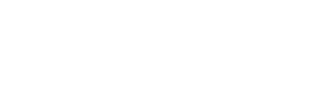 BIZZIE’S LUXURY SERVICES