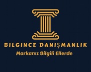 Bilgince Danışmanlık