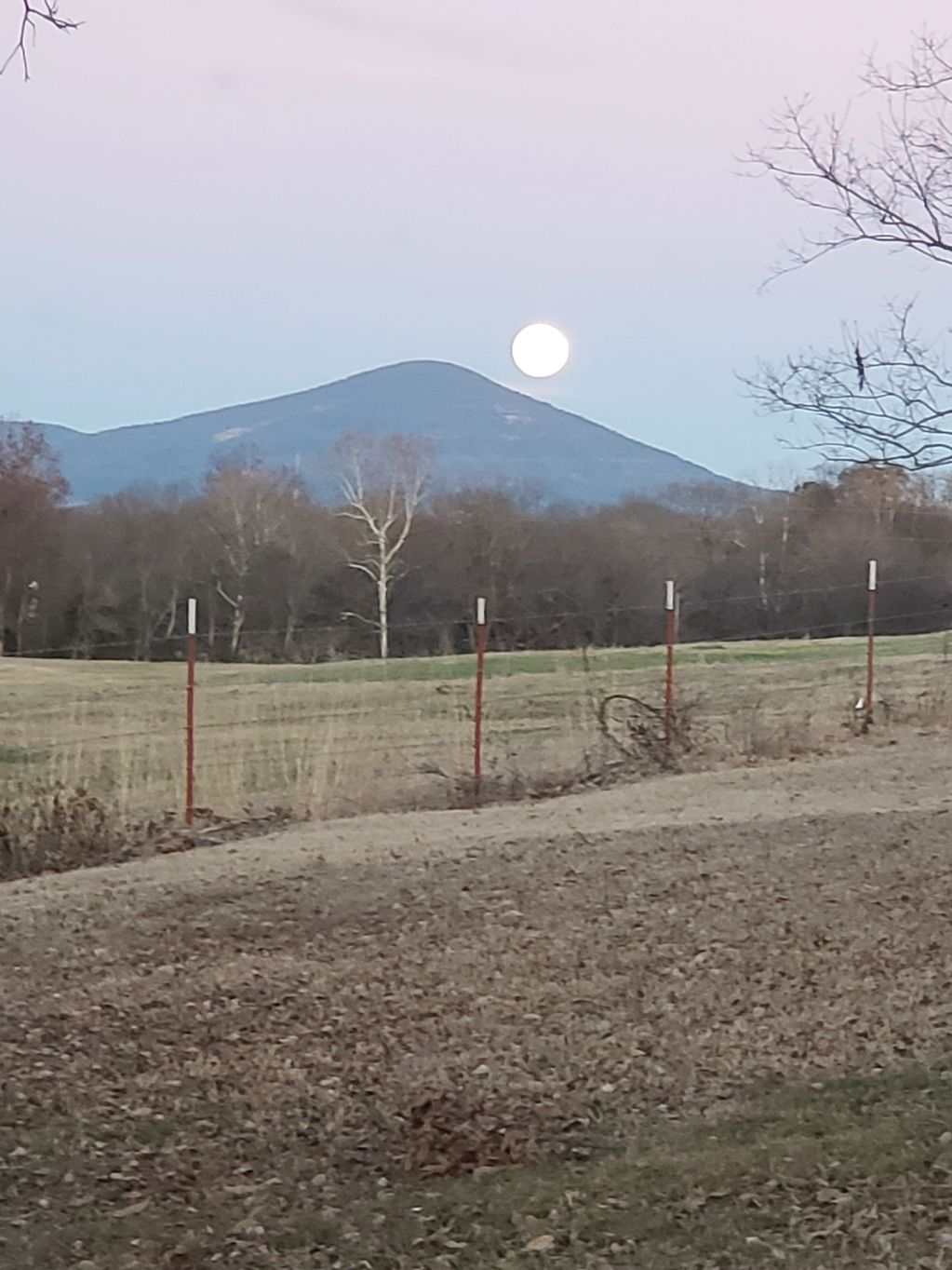 moon, milbauer ranch, milbauerranch, Sugarloaf Mountain