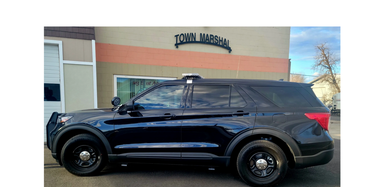 Police Department Town of Odessa