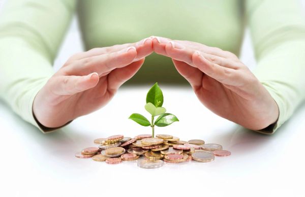 Hands protecting a small plant growing from coins.