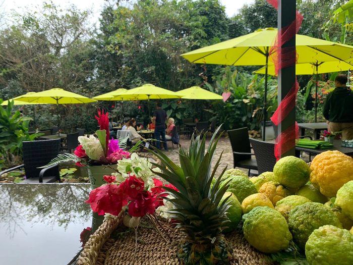 Rendezvous, in the heart of Saba's beautiful rainforest.  A Truly Unique Dining Experience!